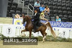 24R13_22099 thumbnail