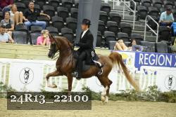 24R13_22100 thumbnail