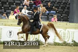 24R13_22101 thumbnail