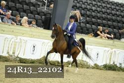 24R13_22102 thumbnail