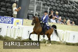 24R13_22104 thumbnail