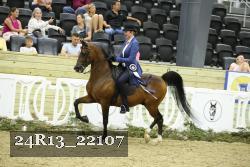24R13_22107 thumbnail