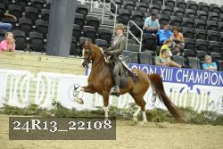 24R13_22108 thumbnail
