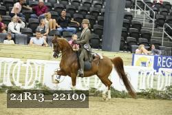 24R13_22109 thumbnail