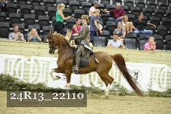 24R13_22110 thumbnail