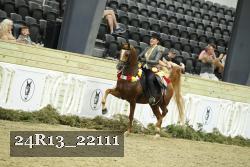 24R13_22111 thumbnail