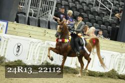 24R13_22112 thumbnail