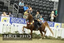 24R13_22113 thumbnail