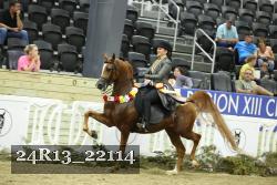 24R13_22114 thumbnail