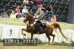 24R13_22115 thumbnail