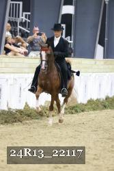 24R13_22117 thumbnail