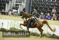 24R13_22119 thumbnail