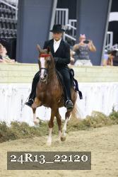 24R13_22120 thumbnail