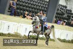 24R13_22123 thumbnail