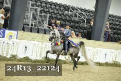24R13_22124 thumbnail