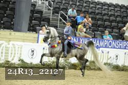 24R13_22127 thumbnail