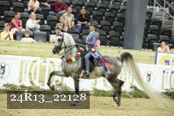 24R13_22128 thumbnail