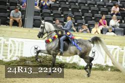 24R13_22129 thumbnail