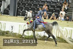 24R13_22131 thumbnail