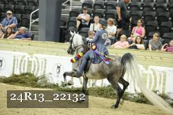 24R13_22132 thumbnail