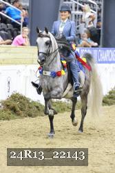 24R13_22143 thumbnail