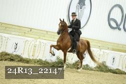 24R13_22147 thumbnail