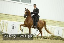 24R13_22148 thumbnail