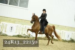 24R13_22150 thumbnail