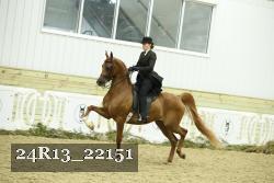 24R13_22151 thumbnail