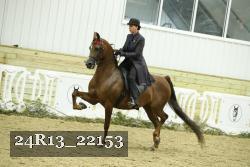 24R13_22153 thumbnail