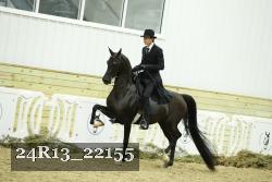 24R13_22155 thumbnail