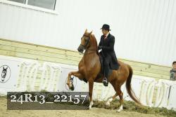 24R13_22157 thumbnail