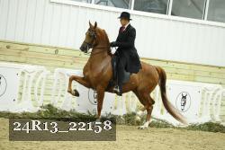 24R13_22158 thumbnail