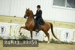 24R13_22159 thumbnail