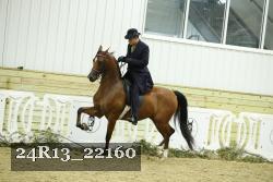 24R13_22160 thumbnail