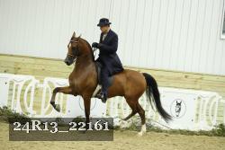 24R13_22161 thumbnail