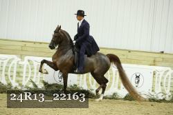 24R13_22163 thumbnail