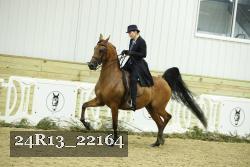24R13_22164 thumbnail