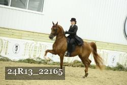 24R13_22165 thumbnail