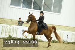 24R13_22166 thumbnail
