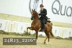 24R13_22167 thumbnail