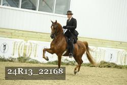 24R13_22168 thumbnail