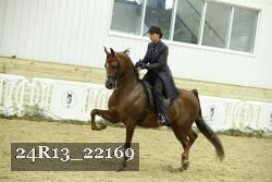 24R13_22169 thumbnail