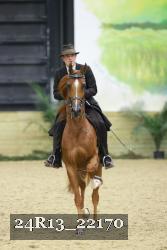 24R13_22170 thumbnail