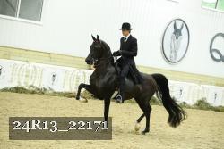 24R13_22171 thumbnail