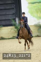 24R13_22172 thumbnail