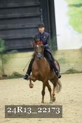 24R13_22173 thumbnail