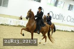 24R13_22175 thumbnail