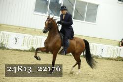24R13_22176 thumbnail