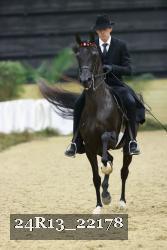 24R13_22178 thumbnail